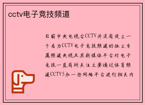 cctv电子竞技频道